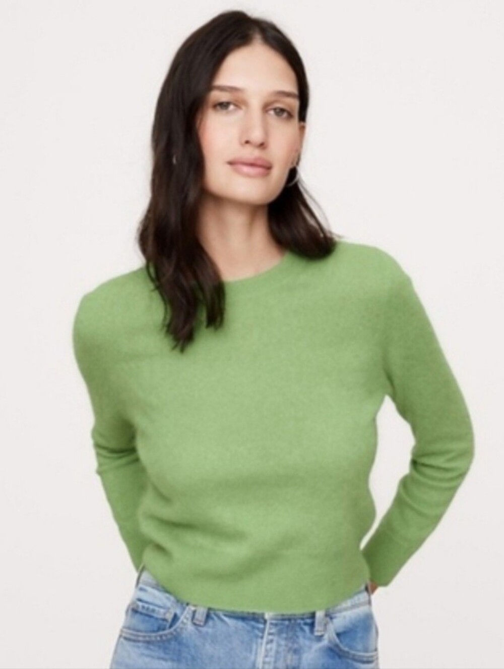 NWOT Lightweight Brushed Cashmere Crew-Neck Sweater Size Small In Jungle Fern Gr